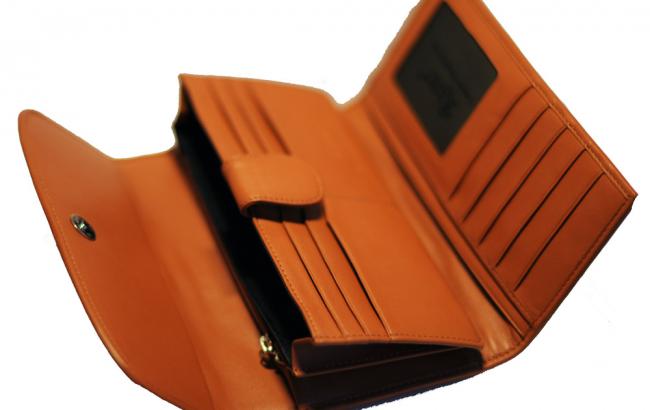 Правильно вибраний гаманець - гарна характеристика для його господині