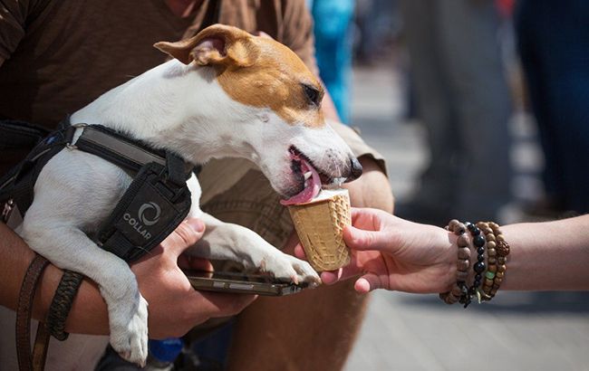 Синоптик розповіла, коли в Україні буде +18