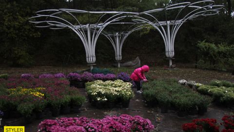 Стане ще прохолодніше: синоптик приголомшила липневим прогнозом