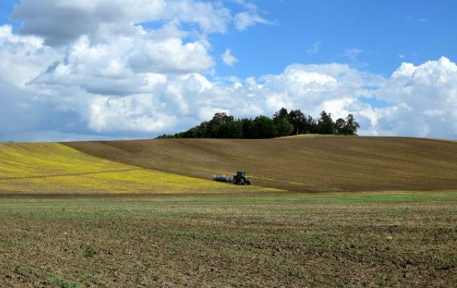 В этом году украинский аграрный экспорт составил почти 13 млрд долларов
