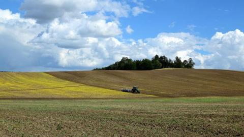 Україна зібрала рекордний урожай зерна