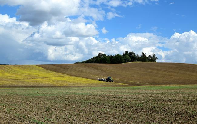 Україна зібрала рекордний урожай зерна