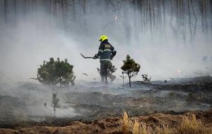 Залучили авіацію ДСНС: у Вишгородському районі гасять масштабну пожежу
