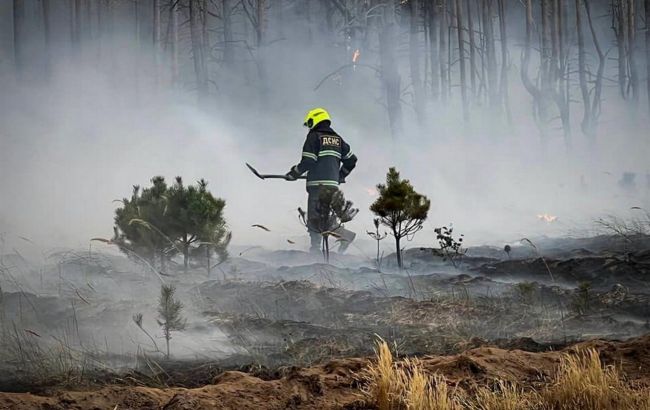 Залучили авіацію ДСНС: у Вишгородському районі гасять масштабну пожежу