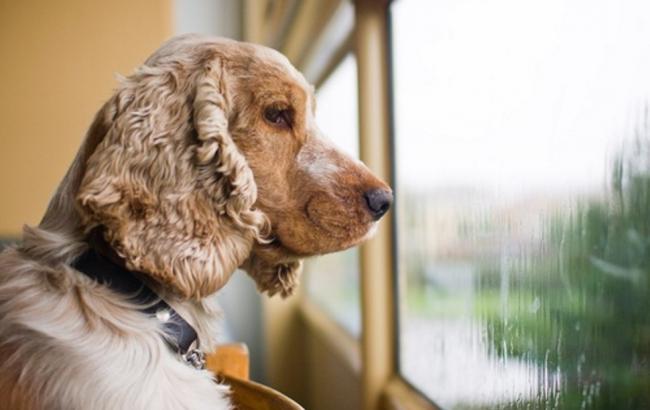 Погода на сьогодні: в Україні місцями дощі, температура до +13