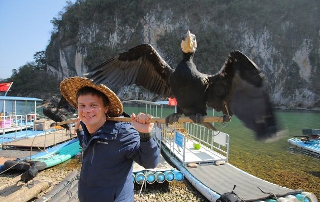 Дмитро Комаров вирушить на екзотичну рибалку і покаже, як китайці виловлюють рибу за допомогою бакланів