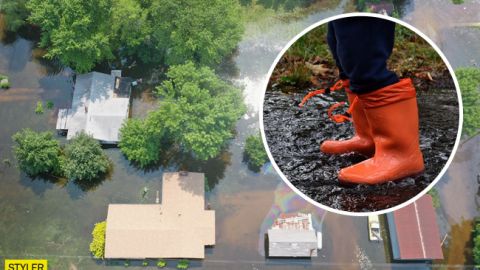 Карта світу буде повністю перекроєна: кліматологи налякали прогнозом