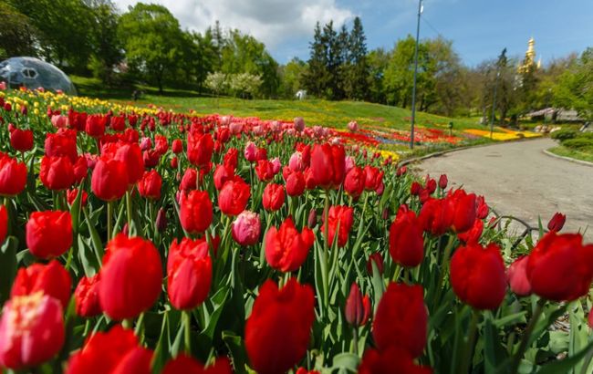 Весна на Певческом. В Киеве открывается грандиозная выставка цветов