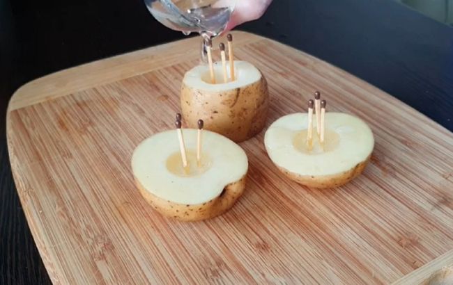 Как сделать "вечную" свечу из картофеля и масла, которая будет гореть целый день