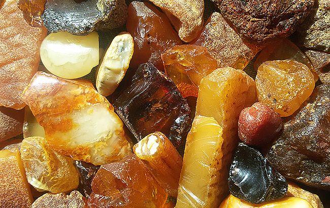 В Олевске в хозяйственных помещениях обнаружили 40 кг янтаря