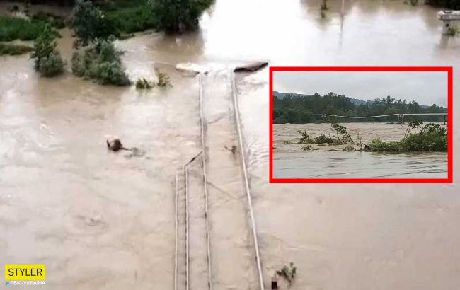 В Черновцах река Прут выходит из берегов: села региона могут уйти под воду (фото)