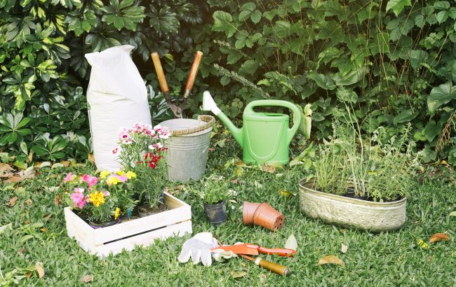 Які рослини потрібно терміново обрізати. Встигніть до кінця травня