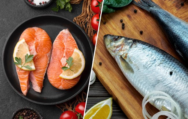 Оселедець чи лосось: нутриціологиня пояснила, яку рибу обрати для здоров’я