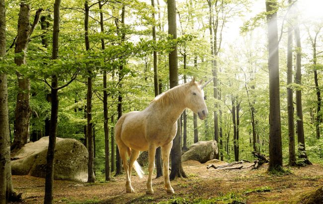 В Карпатах заметили "единорога": редкое животное попало на фото