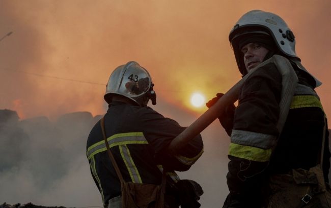 Центр реабілітації птахів "Садиба Нюшанік" згорів від атаки РФ на Київщину