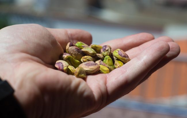 Чим корисні фісташки і кому їх їсти категорично не можна