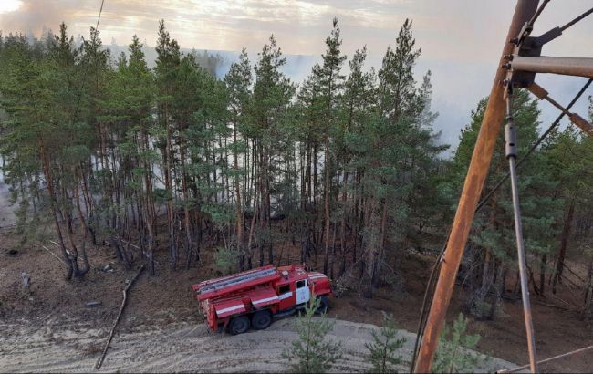 Пожежі в Луганській області: загасили ще один осередок вогню