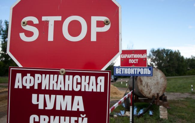 Эндемичными зонами по АЧС являются Сумская и Черниговская обл., - Госветфитослужба