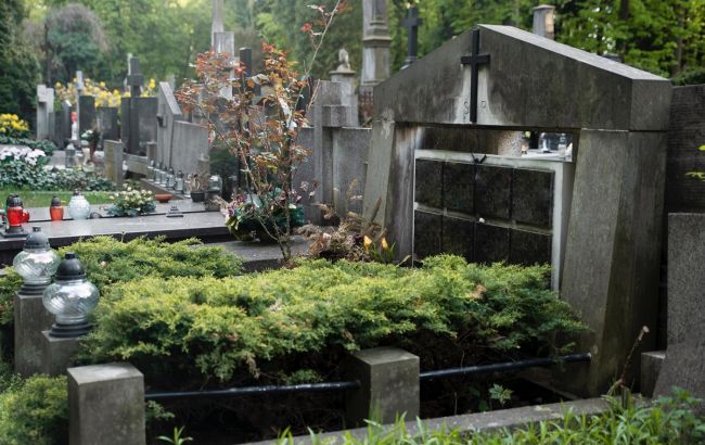 Замість пластику - жива пам'ять: ці невибагливі рослини можна посадити на кладовищі