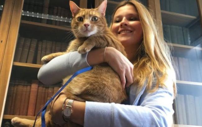 Студентам Кембриджа кот помогает готовиться к сессии