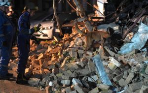 Кількість загиблих внаслідок удару РФ по будівлі НАН у Києві зросла