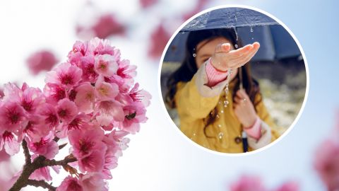 В Украину ворвется непогода: синоптики резко изменили прогноз