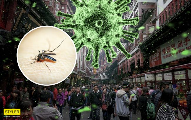 Коронавирус может передаваться через укусы комаров: врачи сделали официальное заявление