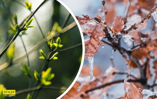 В Украину идет аномальное потепление: синоптик назвал дату