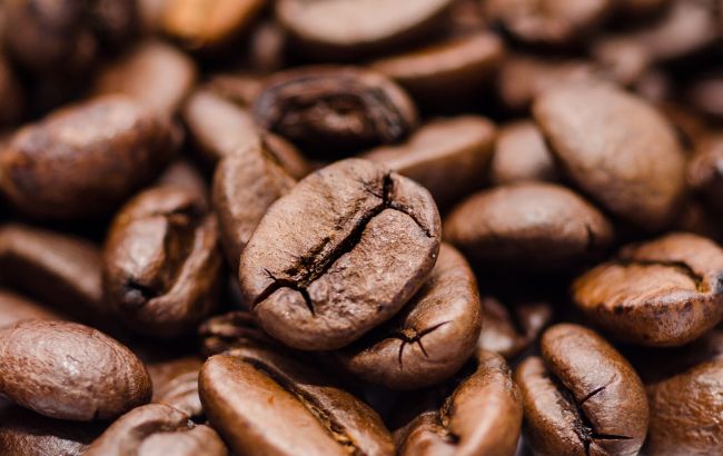 На планеті суттєво подорожчає кава: вчені назвали причину