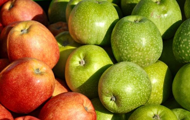50 копеек за килограмм: в Украине цена на яблоки достигла минимума