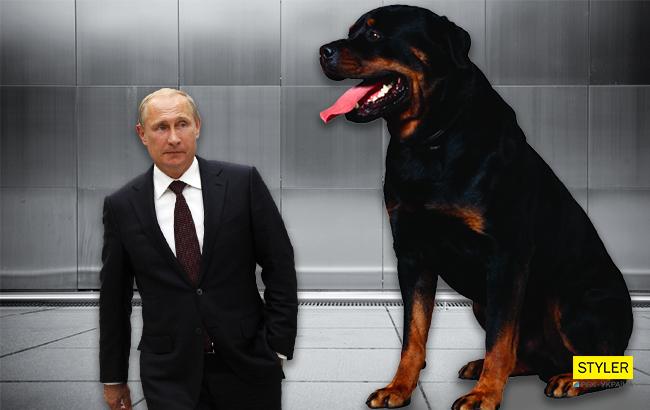 У мережі підняли на сміх контраст "карлика" Путіна і "велетня" Ердогана