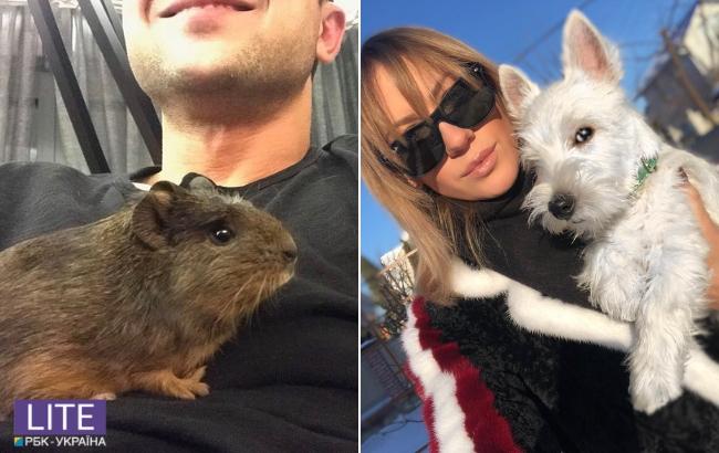 Максимально мило: украинские звезды показали своих питомцев (фото)