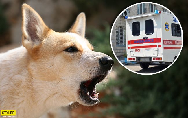 Настоящий друг: на Закарпатье пес спас жизнь мужчине