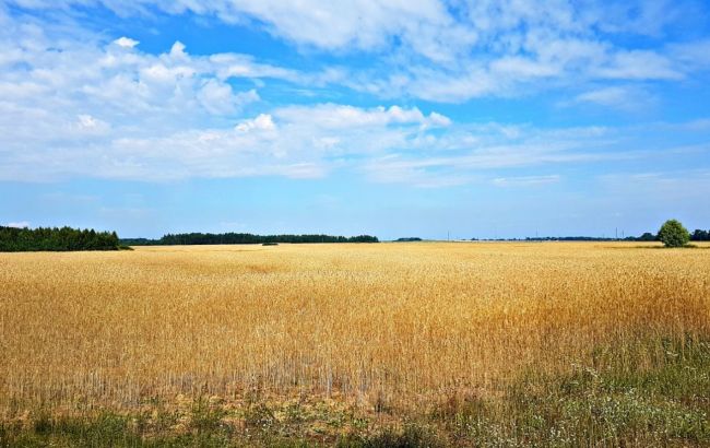 Українців попередили про можливість втрати земельних ділянок та паїв: як цьому запобігти