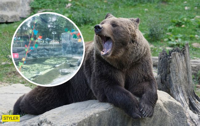 У київському зоопарку тріснуте скло у вольєрі з ведмедями заклеїли аплікацією (фото)