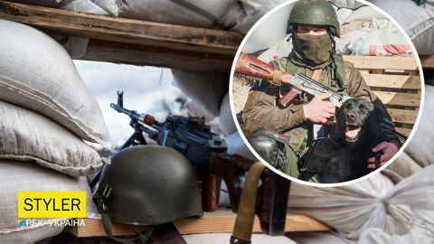 Собака Лея пройшла десятки кілометрів, щоб знайти свого друга-кінолога на фронті