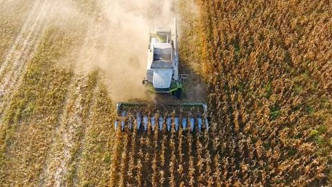 В Україні не буде врожаю в декількох областях: експерти дали прогноз