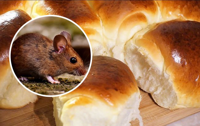 Під Дніпром покупець булочки виявив у ній живу мишу (фото)