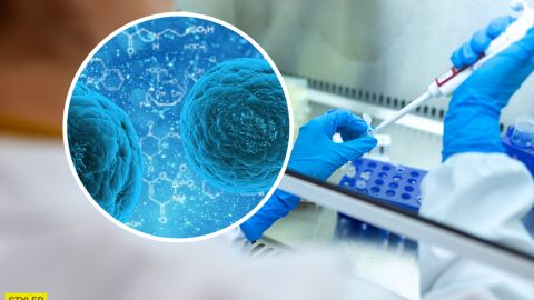 Ученые назвали главную опасность нового штамма коронавируса, бушующего в Европе