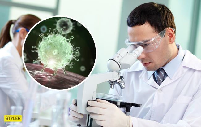 В Україні спалах Африканської чуми: що відомо, і хто в групі ризику