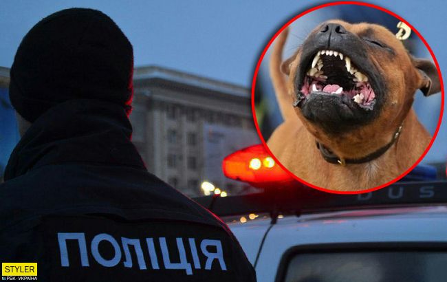 Не хотел платить штраф: под Львовом водитель спустил собаку на полицию