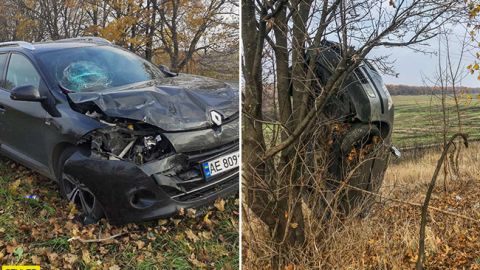 Под Днепром после ДТП авто повисло на дереве: фото и видео инцидента