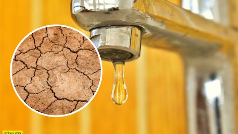 Не тільки в Криму: окупанти заявили про серйозну екологічну катастрофу в "ЛНР"