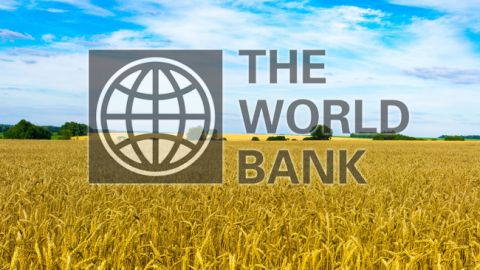 Світовий банк виділив 200 млн доларів на сільське господарство України