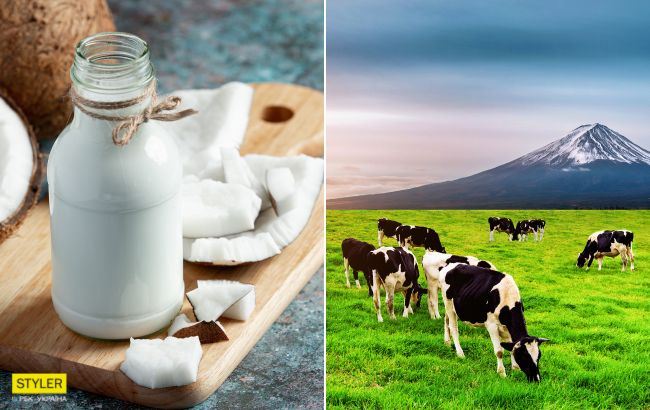 Диетолог назвала самое вредно и самое полезное молоко для здоровья