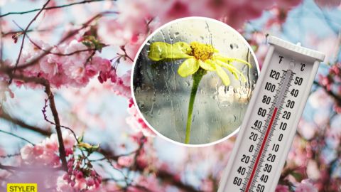 Настоящая весна: на сколько в Украине задержится хорошая погода