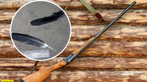 "Символ Украины": под Киевом мужчина застрелил редкую птицу (фото, видео)