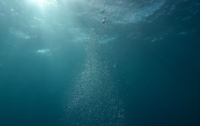 Вчені показали, як виглядає найбільша риба на дні океану (фото)