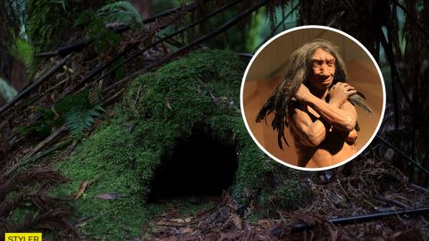 Ученые обнаружили интересную зимнюю привычку древних людей