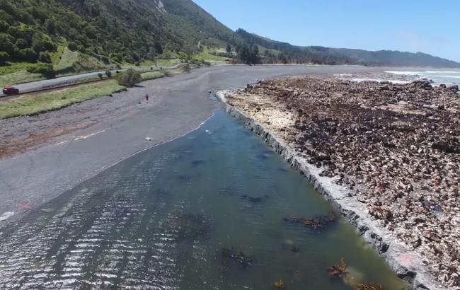 Землетрясение в Новой Зеландии осушило дно океана